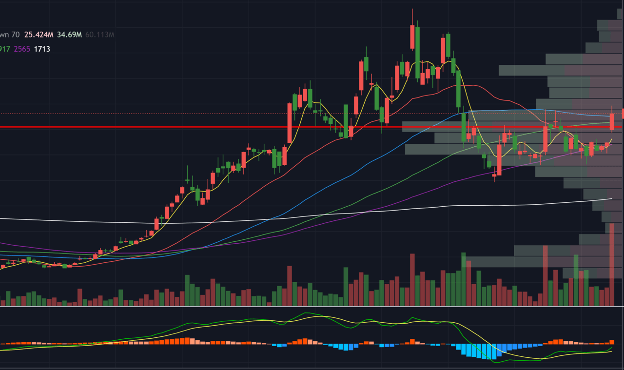 tradingview_アイキャッチ-2